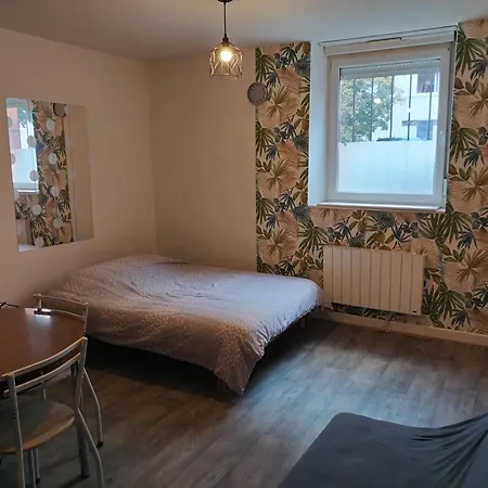 Proche De La Gare Et Du Centre Apartment *